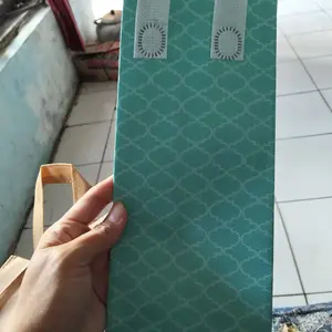 Thermal Cooler Bag Jaga Makanan & Minuman Segar Aluminium Foil Anti-Bocor Ringan Mudah Dibawa untuk Piknik & Kantor