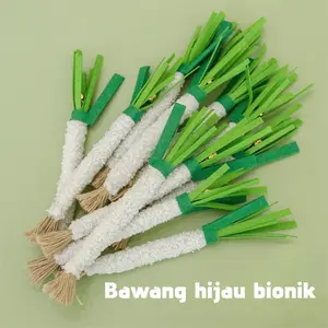 Cat Toy Simulation Vegetable Chew Resistant Teeth Grinding Catnip Pet Supplies