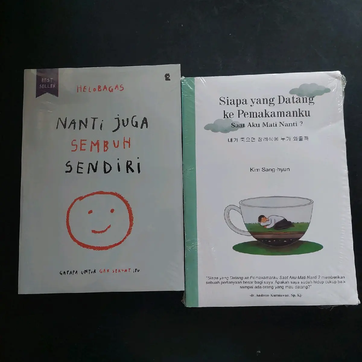 Paket 2 Buku / Nanti juga sembuh sendiri + Siapa yg datang ke pemakamanku saat aku mati nanti ?? / Self improvement