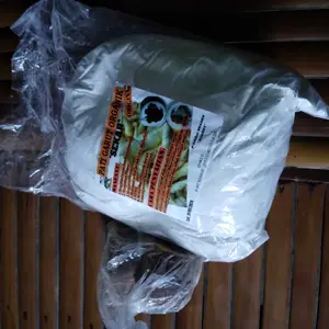 Tepung Garut 1kg free gula aren 200gram Organik Alami Kelapa Bahan