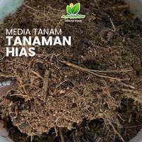 Gambar [MANGGROW] MEDIA TANAM TANAMAN BUNGA HIAS 500gr | Potting Mix 9 Bahan Organik • pH 6,5 • Siap Pakai Bunga Bambu. Sebagai Pupuk & Penyubur Tanah Jamur Merah - 500 gram dari Manggrow Official Shop Kab. Sukoharjo 3 Tokopedia