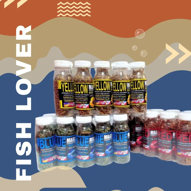 Pakan Ikan Maggot Color Bosster untuk Pertumbuhan Ikan yang Lebih Sehat 0