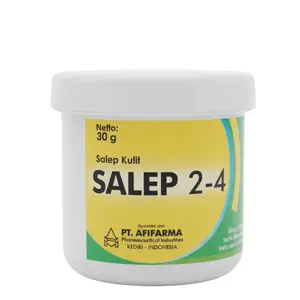 Salep 2-4 Perawatan Kulit Gatal Infeksi Jamur Antibakteri