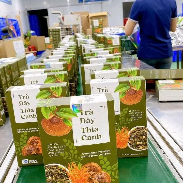 4 hộp trà đông trùng dây thìa canh hộp 30  túi lọc tốt cho người tiểu đường 0