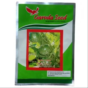 Benih terong lalap hijau Bulat *DADALI* biji terong unggul 5gram Bibit