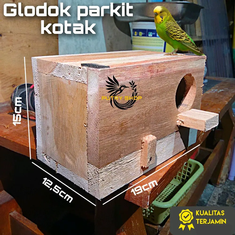 Glodok parkit lovebird kotak