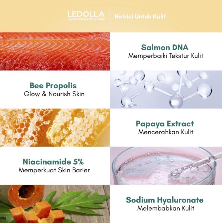 Product Introduction of Le d'olla Serum Masker Muka Mugwort & Cica (Acne) Le Dolla Masker Muka Serum Salmon DNA (Glowing) Le De olla Masker Muka Serum Sea Buckthorn (Brightening) 6