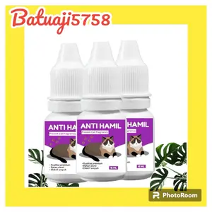 Obat KB Khusus Kucing / Anti Hamil