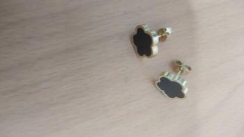 Product Review of Clover Earrings Are Hypoallergenic and Do Not Fade, Environmentally Friendly Women's High-end Ear Jewelry from N**y E**n S**o 0