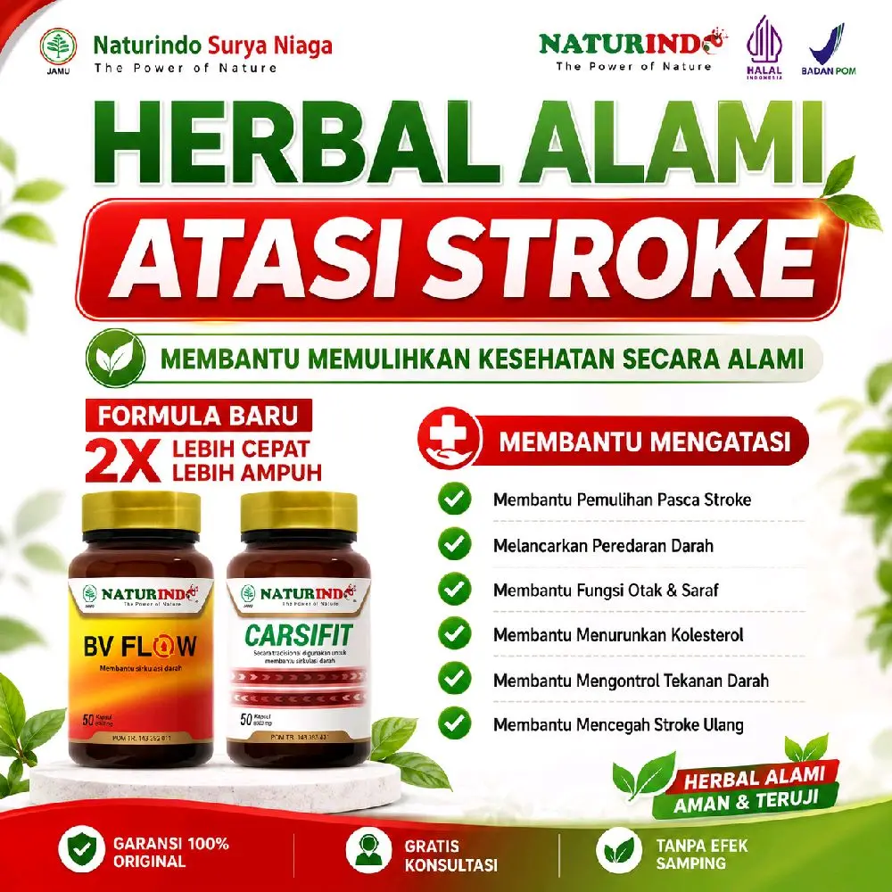 Obat herbal Stroke ampuh Atasi Stroke ringan / berat dengan Obat Herbal Naturindo Stroke lumpuh Bpom daun bidara