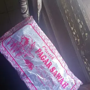 pagar sawah cocok buat layangan papiran juga