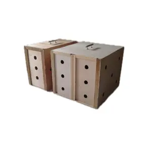 box pengiriman ayam, box pengiriman ayam ukuran jumbo 57x26x40, box cargo pengiriman hewan bisa buat ayam, kucing, kelinci, musang, other dll.