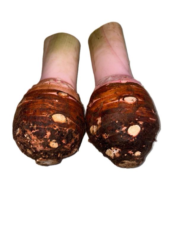 Talas Ketan Rasa Dijamin Pulen Asli Bogor [ Berat 1,5 KG ]