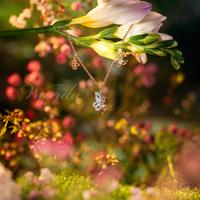 Gambar Gelang Berlian Wanda - Fairytale Poppy 2 - Bracelet dari Wanda House Of Jewels Kota Administrasi Jakarta Pusat 2 Tokopedia