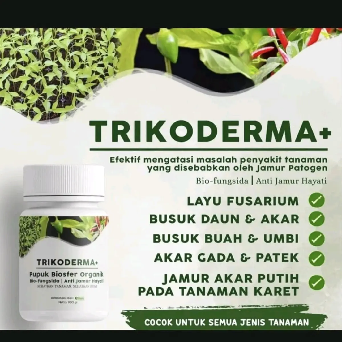 Beli 3 Gratis 1 TRIKODERMA - Obat  Tanaman Membantu pertumbuhan tanaman lebih sehat dari patek dan layu