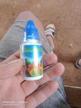 Product Review of EBOD VIT MULTIVITAMIN SEMUA JENIS BURUNG 15ML from I**n J**a 0