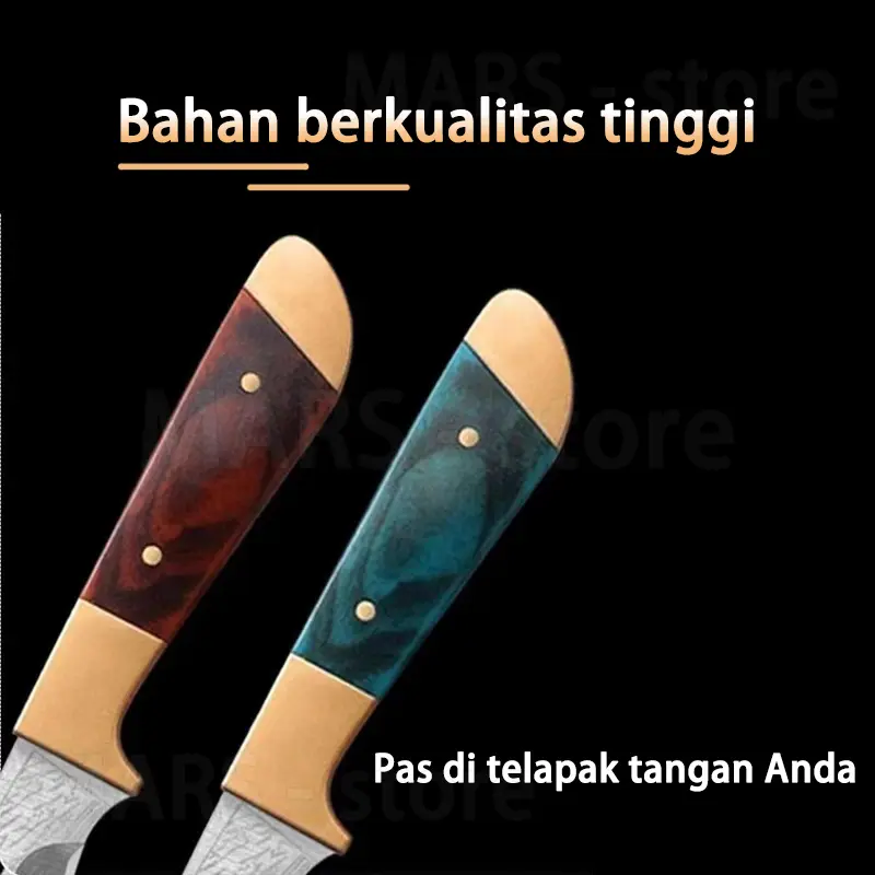 Pisau buah Pisau dapur dengan  sarungnya 5