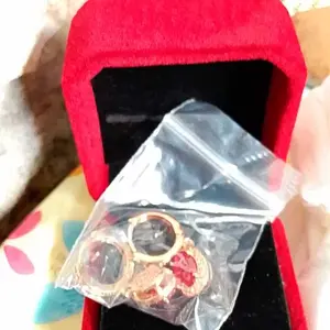 E24 Anting Red Ruby High Quality