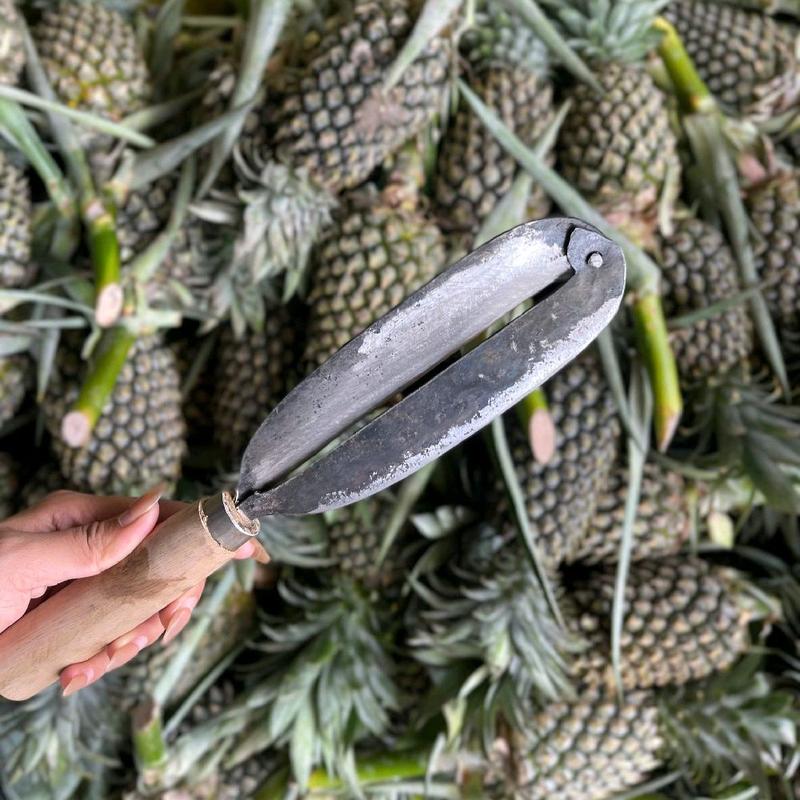 Dao bào vỏ khóm - Dứa lưỡi thép