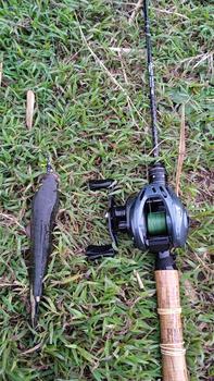 Product Review of Lure Soft Frog Mini umpan pancing Ukuran 3cm Berat 5grm Untuk Mancing Casting Ikan Gabus from p**_ 2