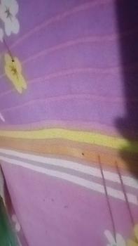 Product Review of Couple Keluarga Ayah Ibu Anak Laki-Laki Anak Perempuan Baju Couple Elegan Lengan Pendek Untuk Acara Resmi Santai Hiling Kencan Kondangan Bahan Katun Polimikro Kombinasi from 🇸** 🤙** 1