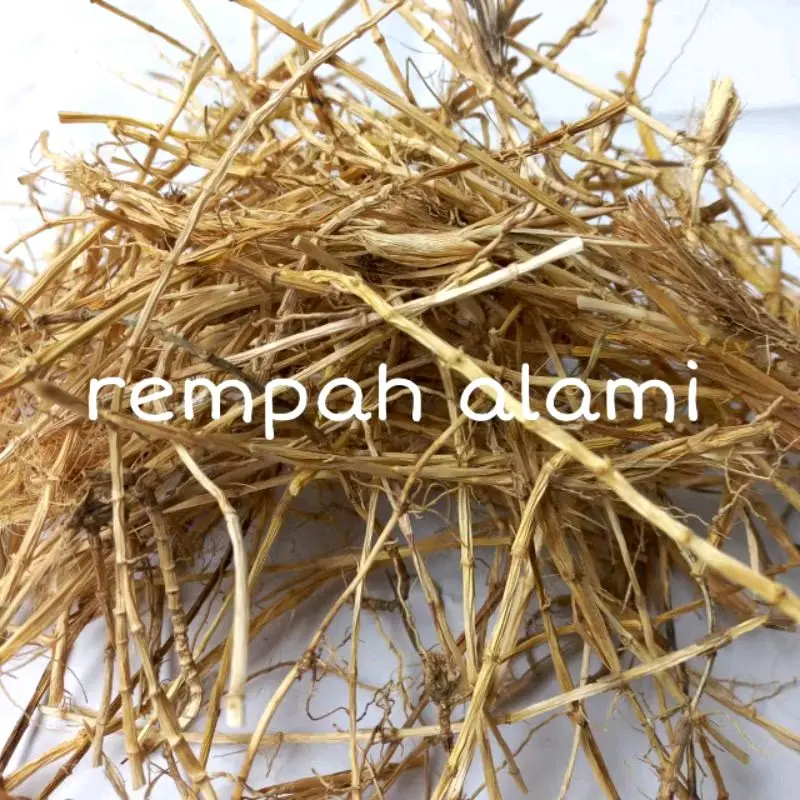 Alang - Alang Kering / Akar Alang -Alang 100gr