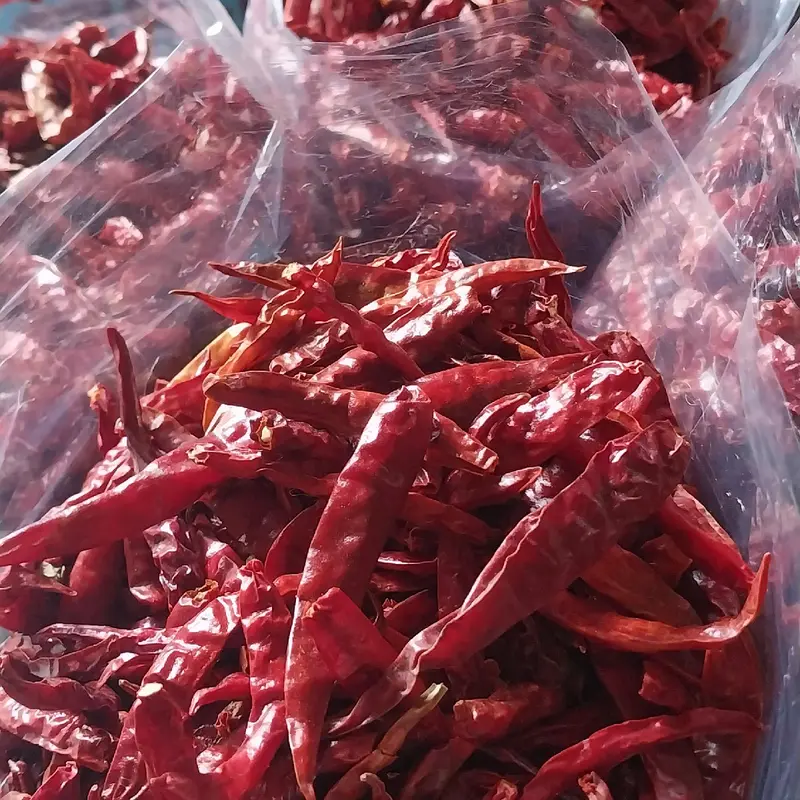 [2kg] Cabe Rawit Merah Kering MEDIUM Teja Japlak impor Super Pedas Food Goreng 2