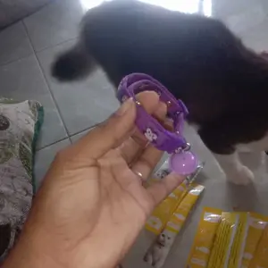 Kalung Kucing Motif Pinquin Kunci Premium Lonceng Ufo