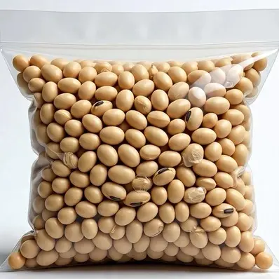 1 kantong kecambah kedelai (setengah pon)