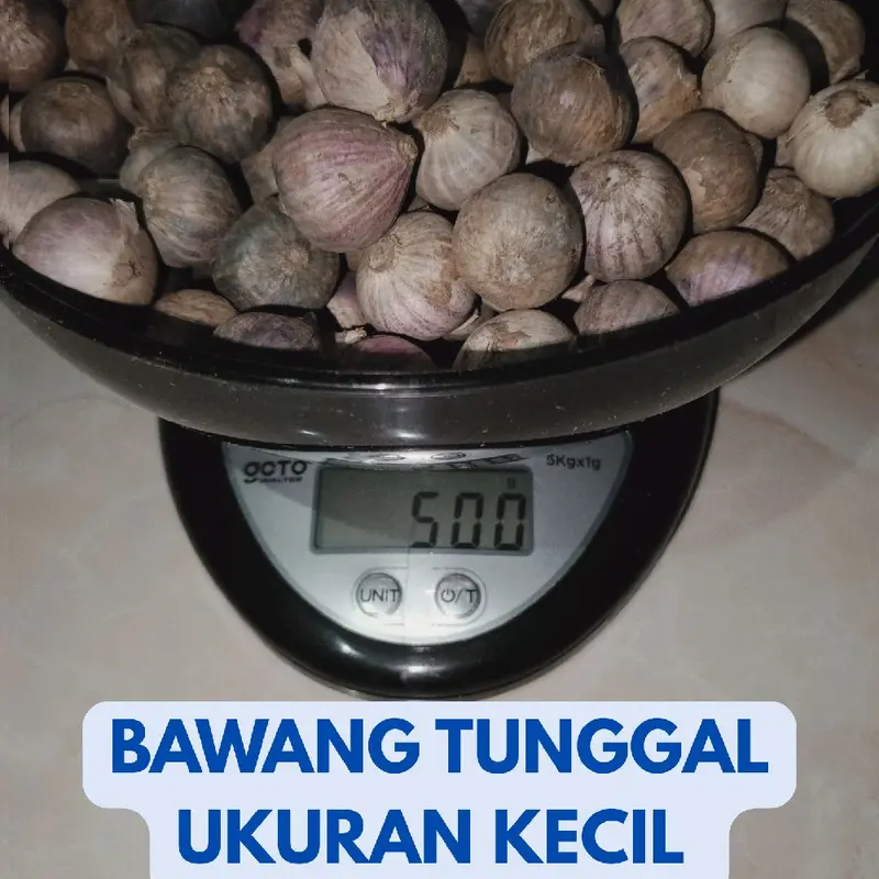 Ukuran Kecil/Bawang Putih Tunggal/Bawang Lanang, Impor China, Ukuran Kecil 1