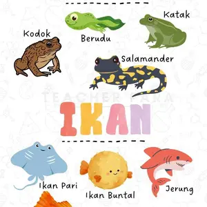 500+ Kata Pertamaku My First 500 Words Tifluna Teman Belajar Pertama Si Kecil Bilingual Edisi High Contrast 32 Halaman Full Color