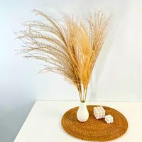 Gambar Dried Pampas IMPODIO / bunga kering / foto produk konten dari Impodio Kota Tangerang Selatan 5 Tokopedia