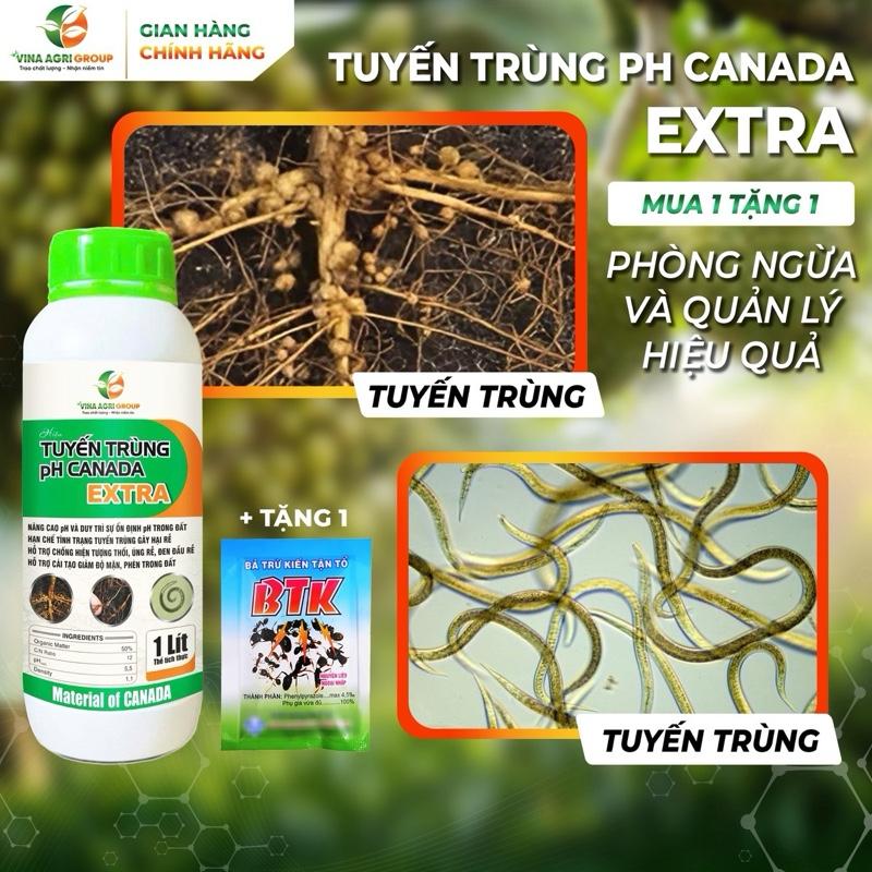  Tuyến Trùng PH CANADA EXTRA  TẶNG BẢ TRỪ KIẾN  - Phòng ngừa và Xử Lý Tuyến Trùng duy trì Ổn Định pH Hỗ Trợ Bớt Độ Mặn và Phèn Cải Tạo Môi Trường Đất - Chai 1 Lít 