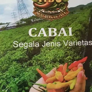 BUKU  BERWARNA SAKTI SENIMAN PERTANIAN-panduan lengkap budidaya cabe segala Varietas-Belum ada selengkap ini#EDISI III FULL COLLOR karangan daniel mbj