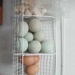 Rak Keranjang Sekat Dinding Dapur, Rak Tempel Gantung 3 Sekat, Rak Keranjang Bumbu Dapur Serbaguna Besi Penyimpanan Wadah Putih Multifungsi Sayuran