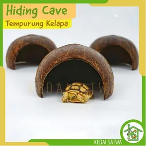 Hiding Cave Tempurung Kelapa - Kedai Satwa