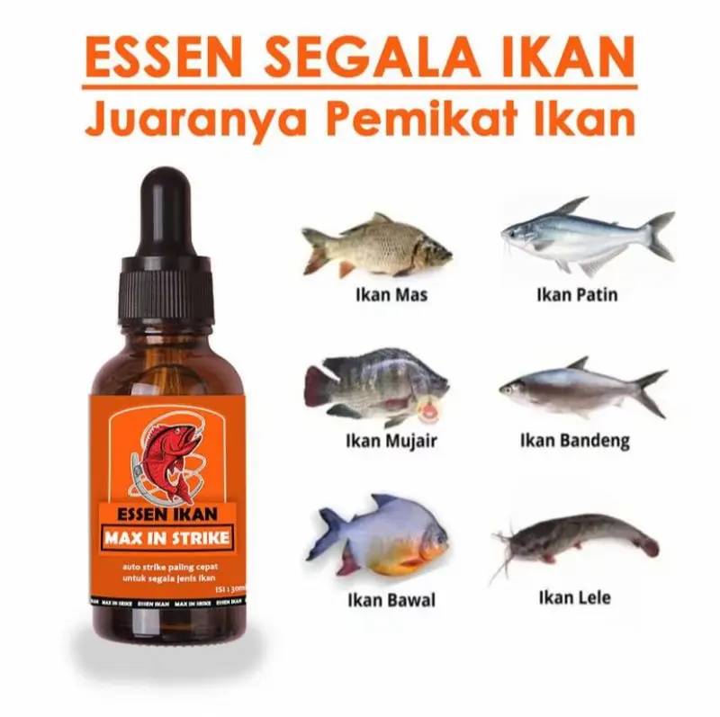 [PROMO] Essen Ikan Super - Secret Strike Essence Pancing Aroma Gurih Untuk Semua Jenis Ikan 1