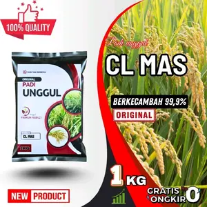 Benih Padi Unggul CL MAS Original Produk Berkecambah 99,9% Kemasan 1-5KG
