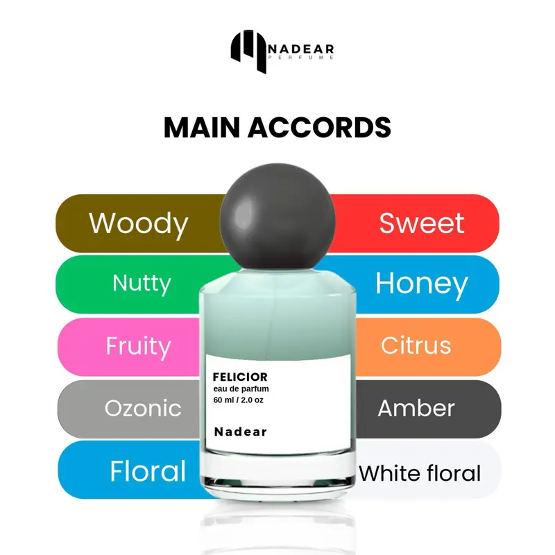 NADEAR.CO - Felicior | Fresh & woody | parfum Pria Elegant mewah 5