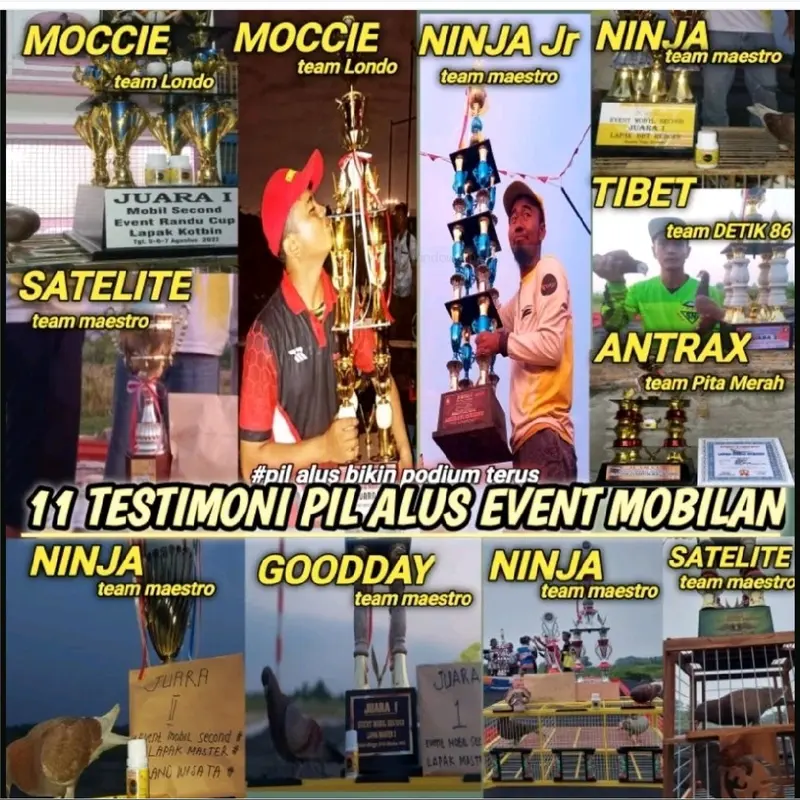 IDEAL PIL ALUS ISI 100 BUTIR KHUSUS MENGERAM 6
