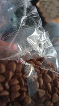 Product Review of Kitchen Flavor Grain Free Repack 500Gr | Pakan Kucing Kering Bergizi from a**a 0