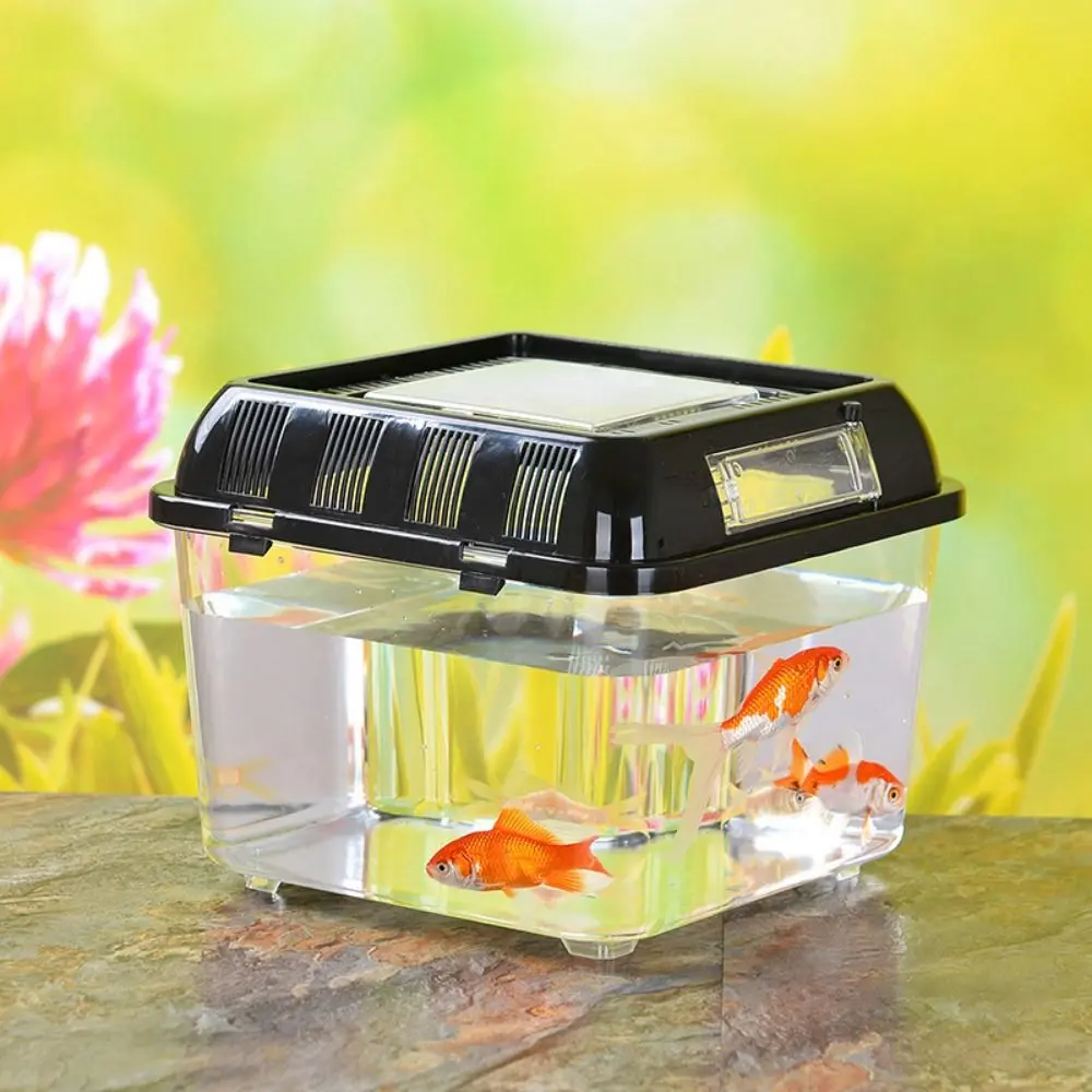 Turtle Habitat Box Plastic Fish Bowl Handheld Transparent Portable Fish Tank Removable Reptile Carrier Aquarium