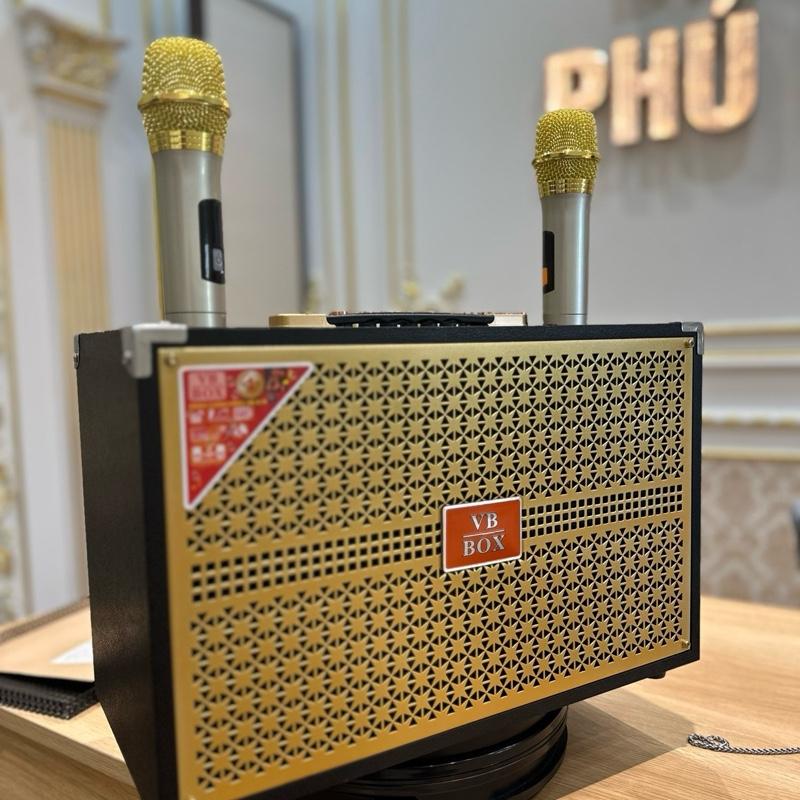 Loa karaoke VB-box 668  bass 20cm 10 nút chỉnh chống hú 150w kèm 2micro