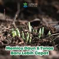 Gambar INFARM - Asam Amino Tanaman 100mL Booster Pertumbuhan, Top Score Asam Amino Atasi Daun Kuning & Tanaman Kerdil dari Infarm Kota Surabaya 2 Tokopedia