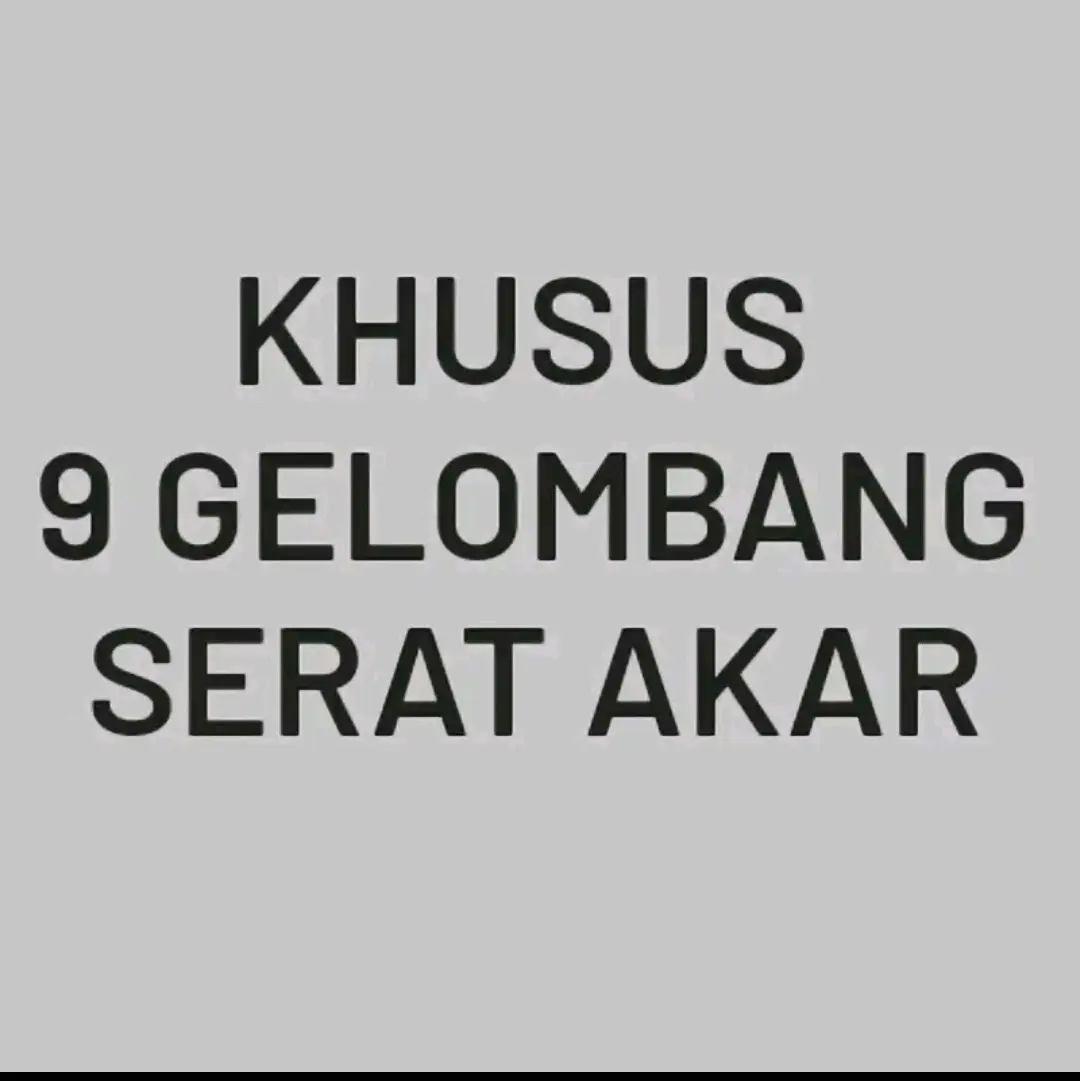 Gorden Serat Akar Khusus 9 gelembung 18 ring