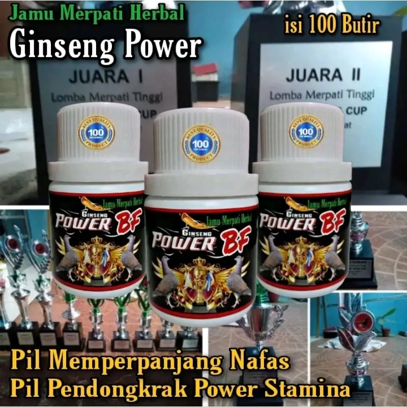 JAMU MERPATI TINGGI GINSENG POWER BF ISi 100 BUTIR suplemen merpati terbang tinggi loos door eternoz