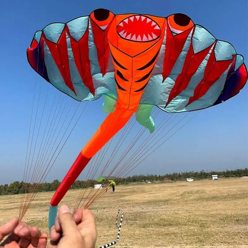 Diều Sợi Tơ Mềm 3D, Chiều Dài 2.5M, Thiết Kế Động Vật Lớn, Thích Hợp Cho Bãi Biển, Chuyên Nghiệp, Dễ Bay, Chống R R, Có Thể Điều Chỉnh, Đi Kèm Với Gói Chống R, Cometas