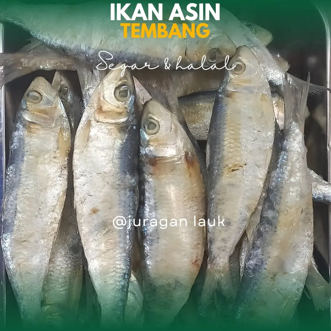 Tembang ikan asin segar termurah kualitas terbaik beseller Food Cumi Frozen