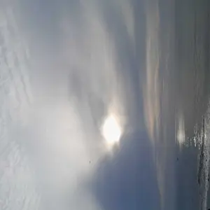 Alat Pemukul Olahraga Baseball Kayu - Tongkat Softball/Stik Kasti - Outdoor