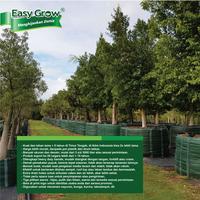 Gambar Planter Bag Easy Grow 45 Liter / Planter Bag Original Easy Grow dari Easy Grow_NEW Kab. Gunungkidul 4 Tokopedia